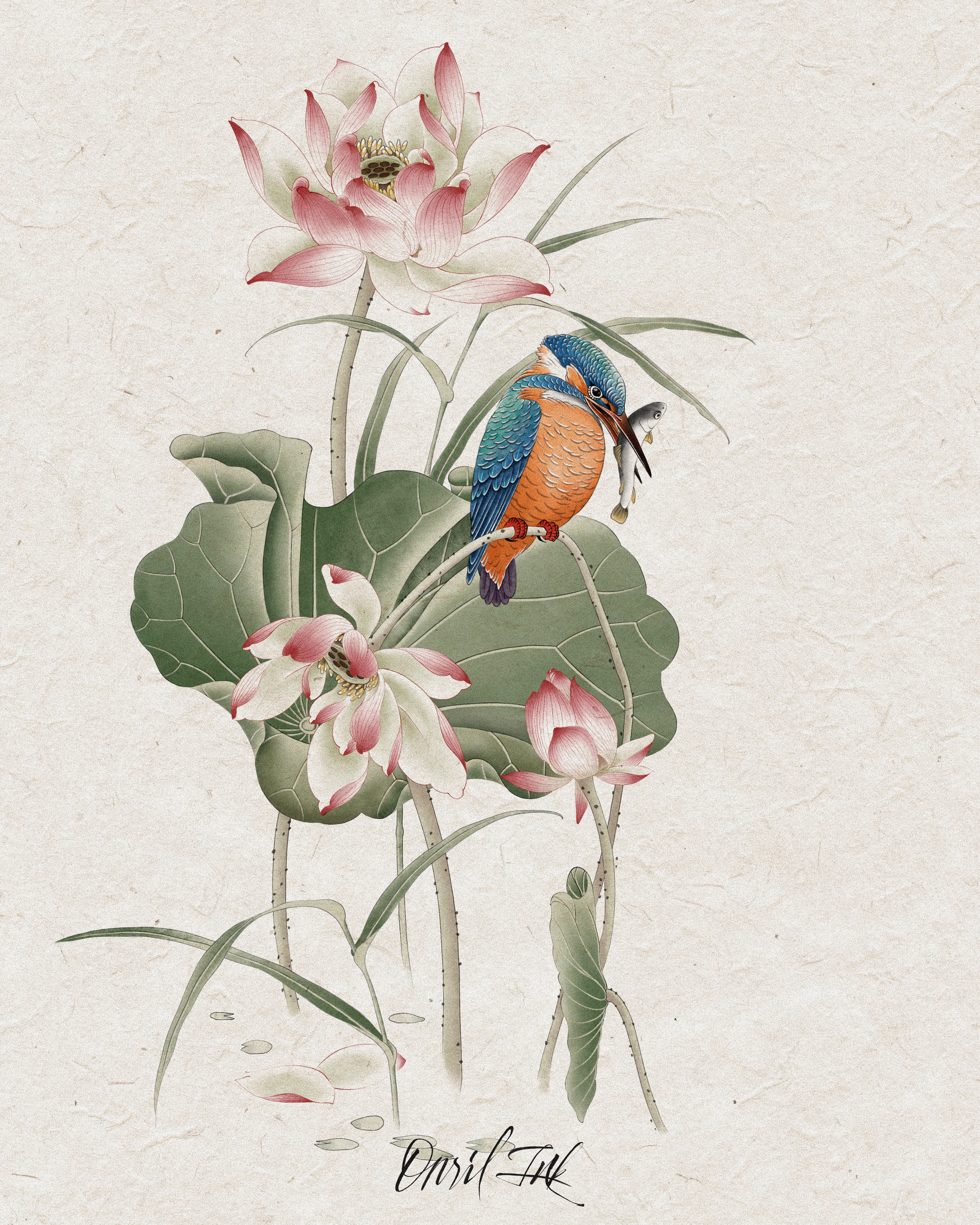 Lotus & Kingfisher
