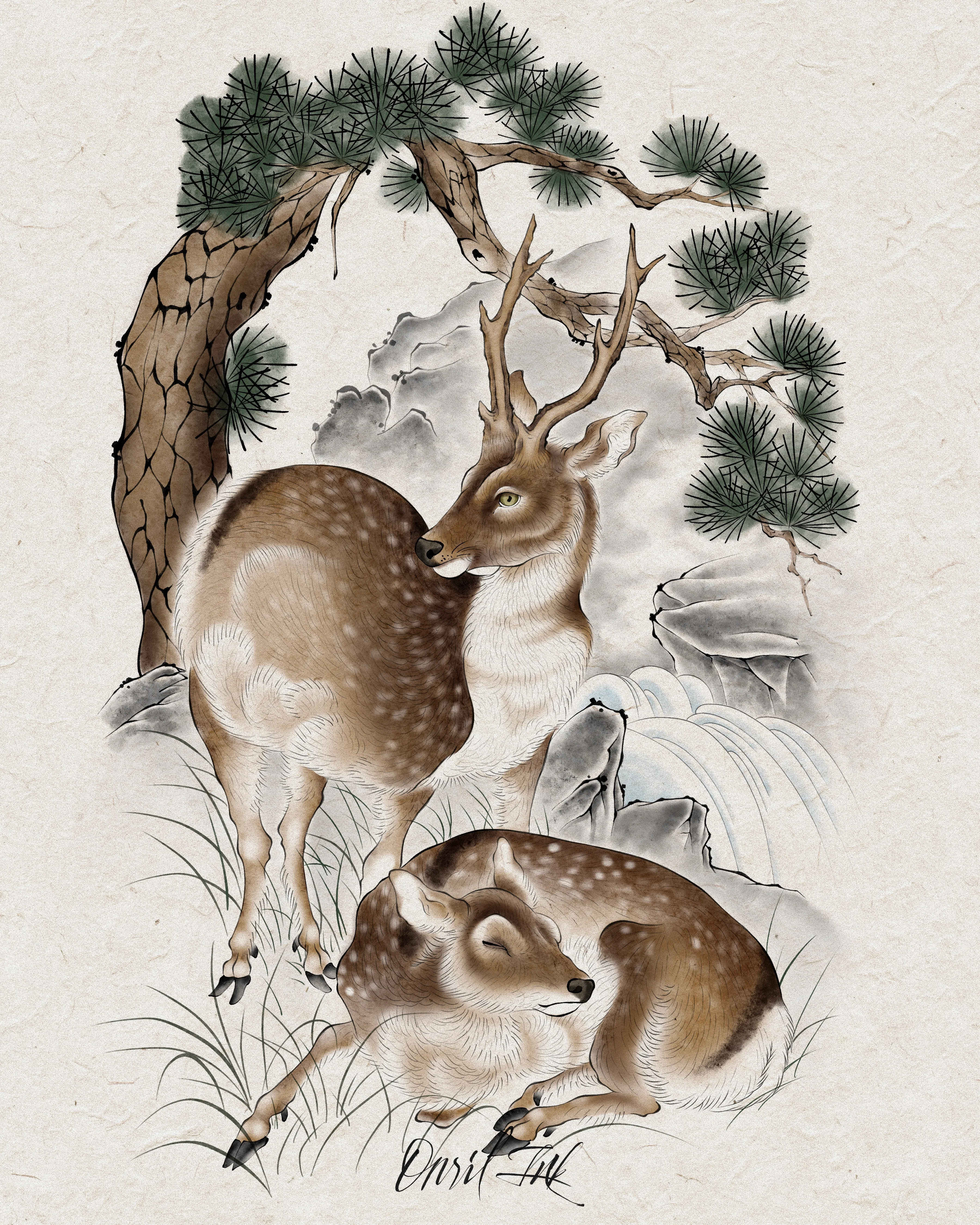 Deer Beneath the Pine — color design