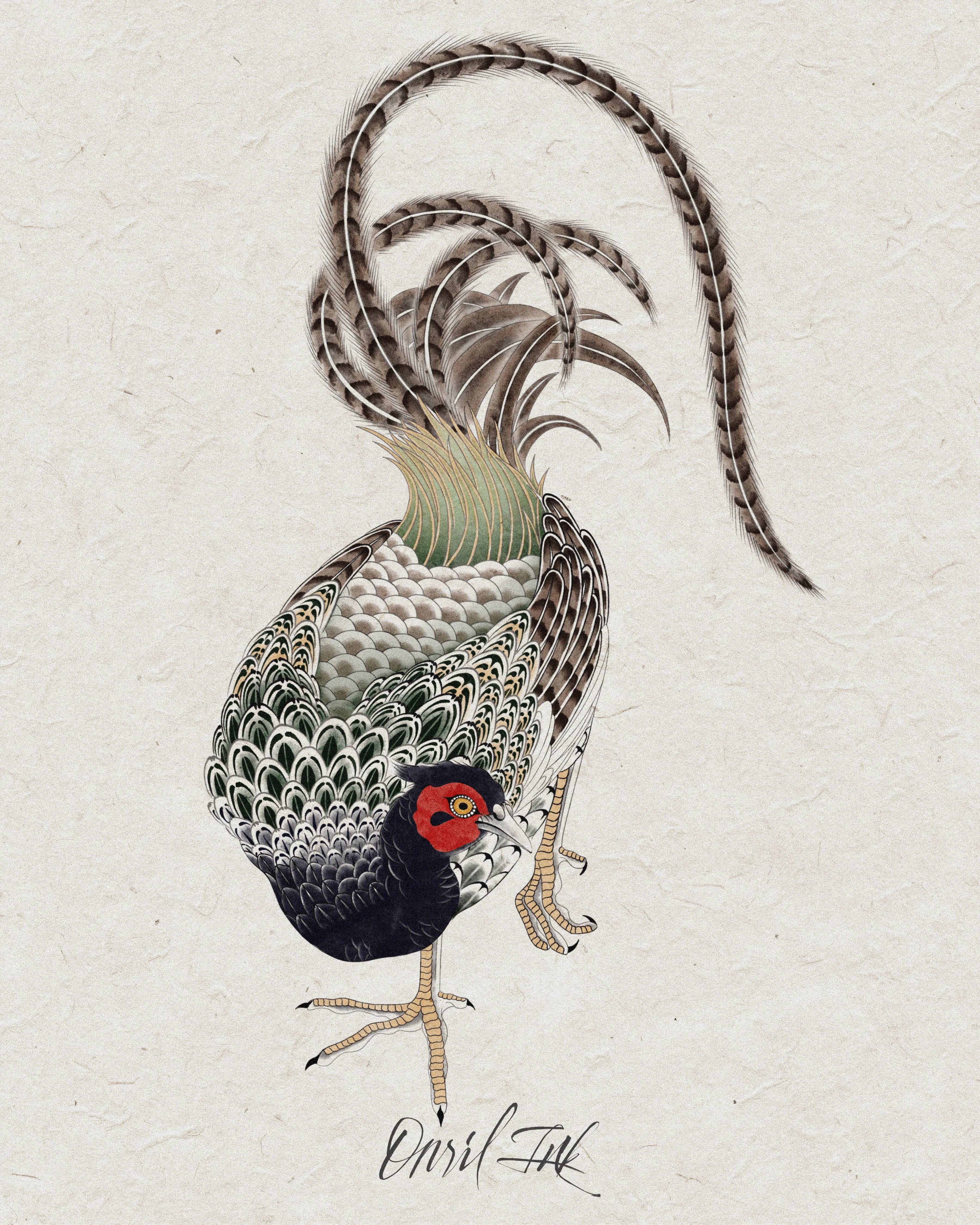Pheasant — Symbol of Fortune — color design