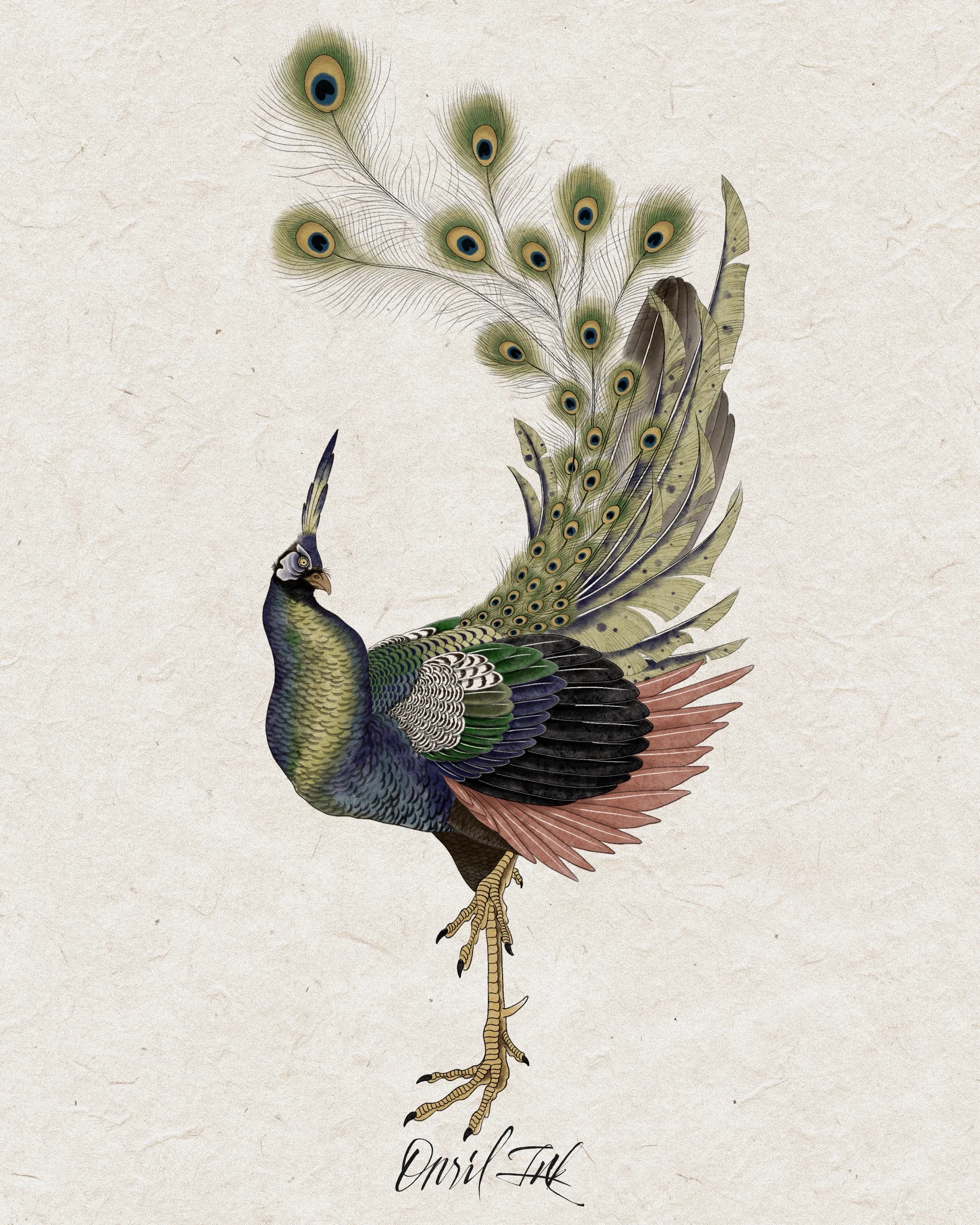 Peacock — Korean traditional tattoo by Onsil, color design