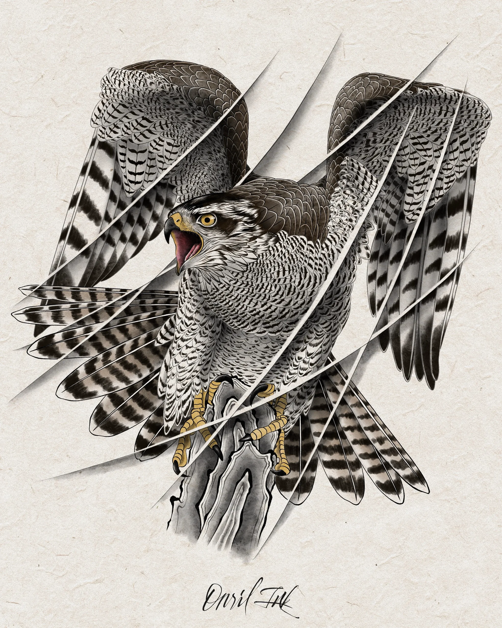 Falcon