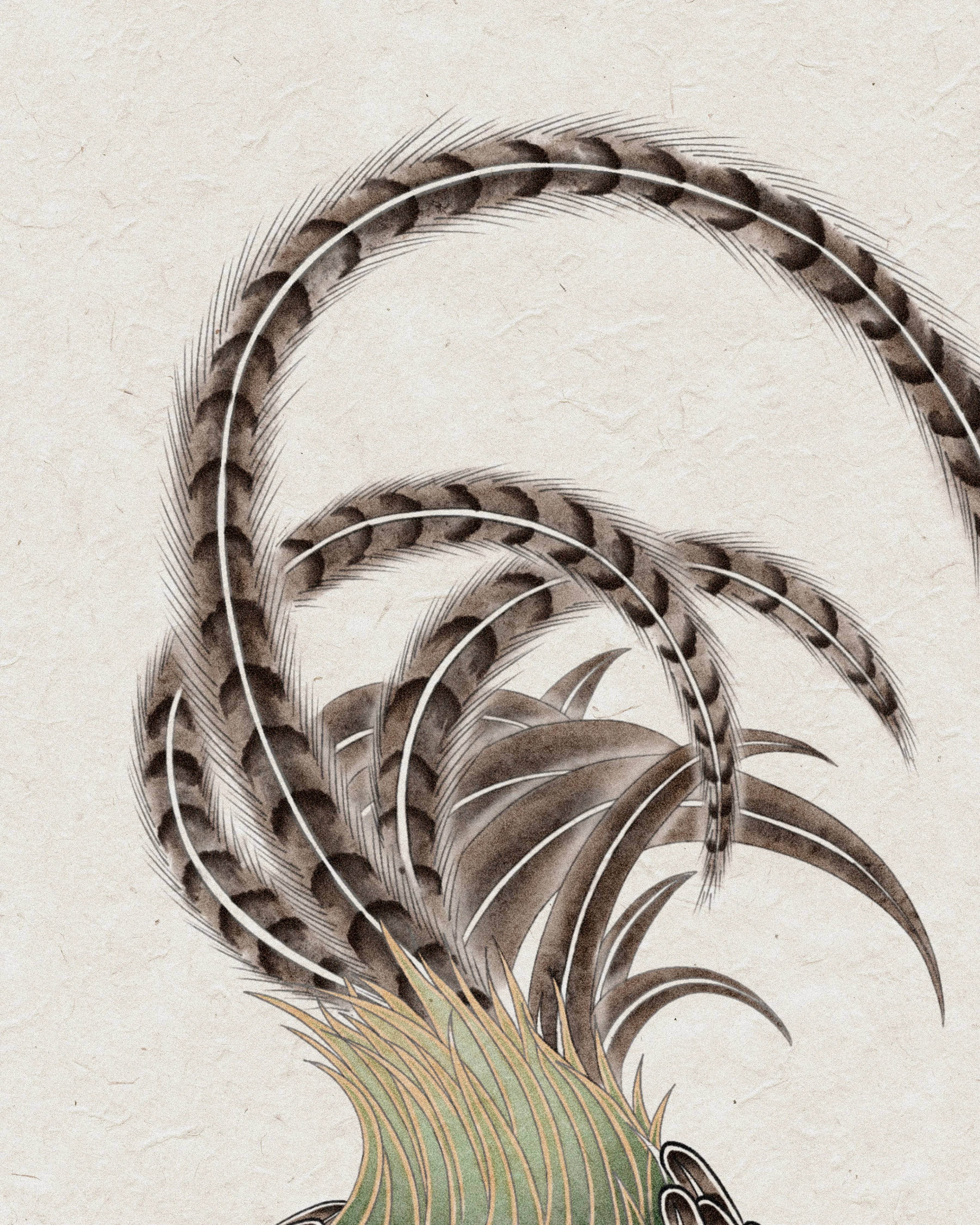 Pheasant — Symbol of Fortune — Detail · brushwork