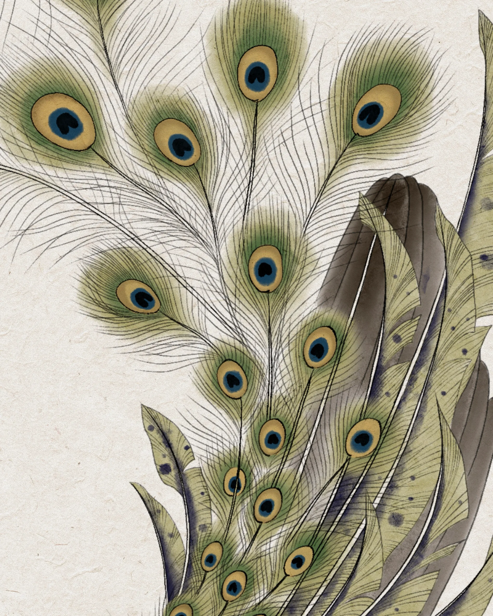 Peacock — Peacock tattoo detail