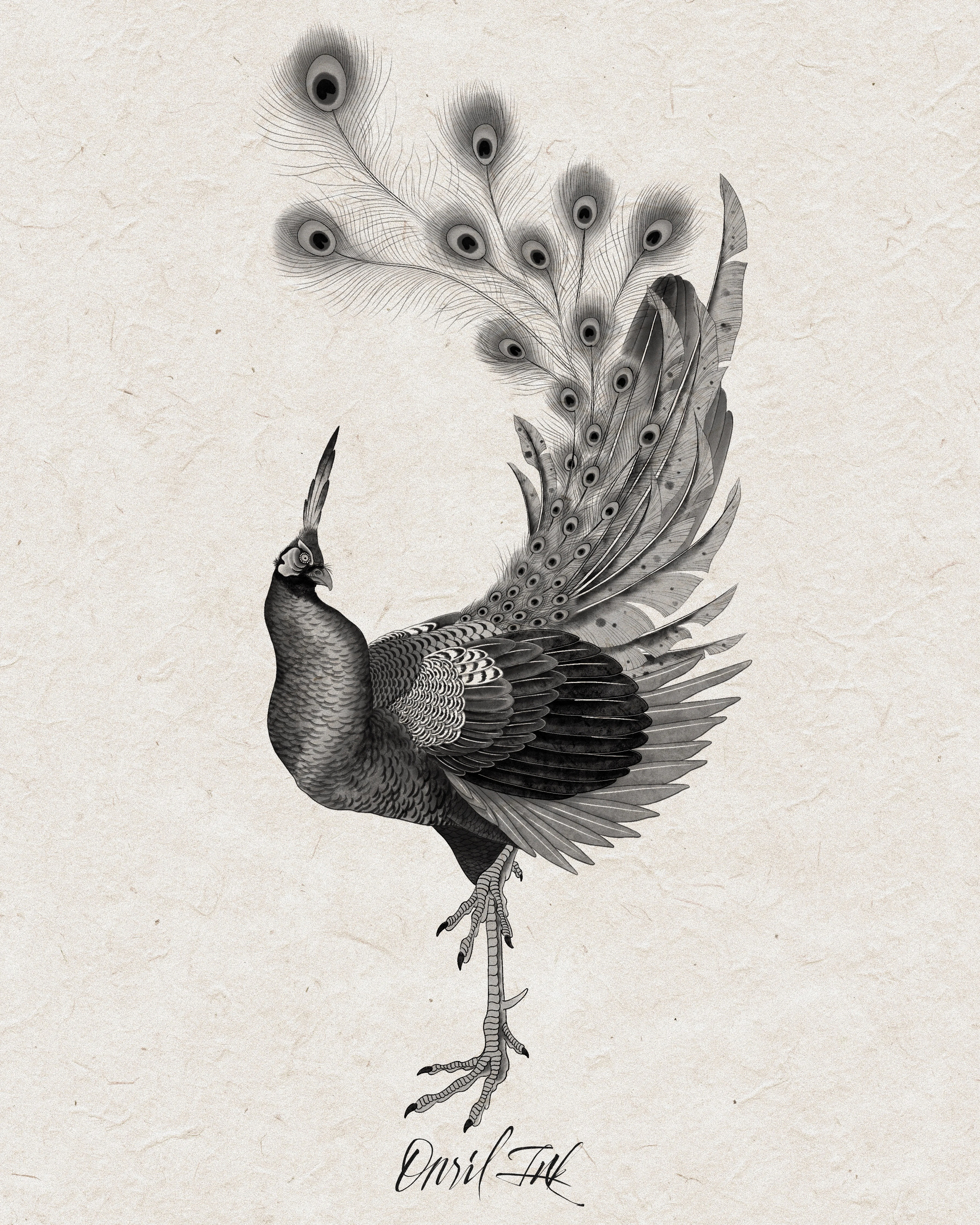 Peacock — mono variant