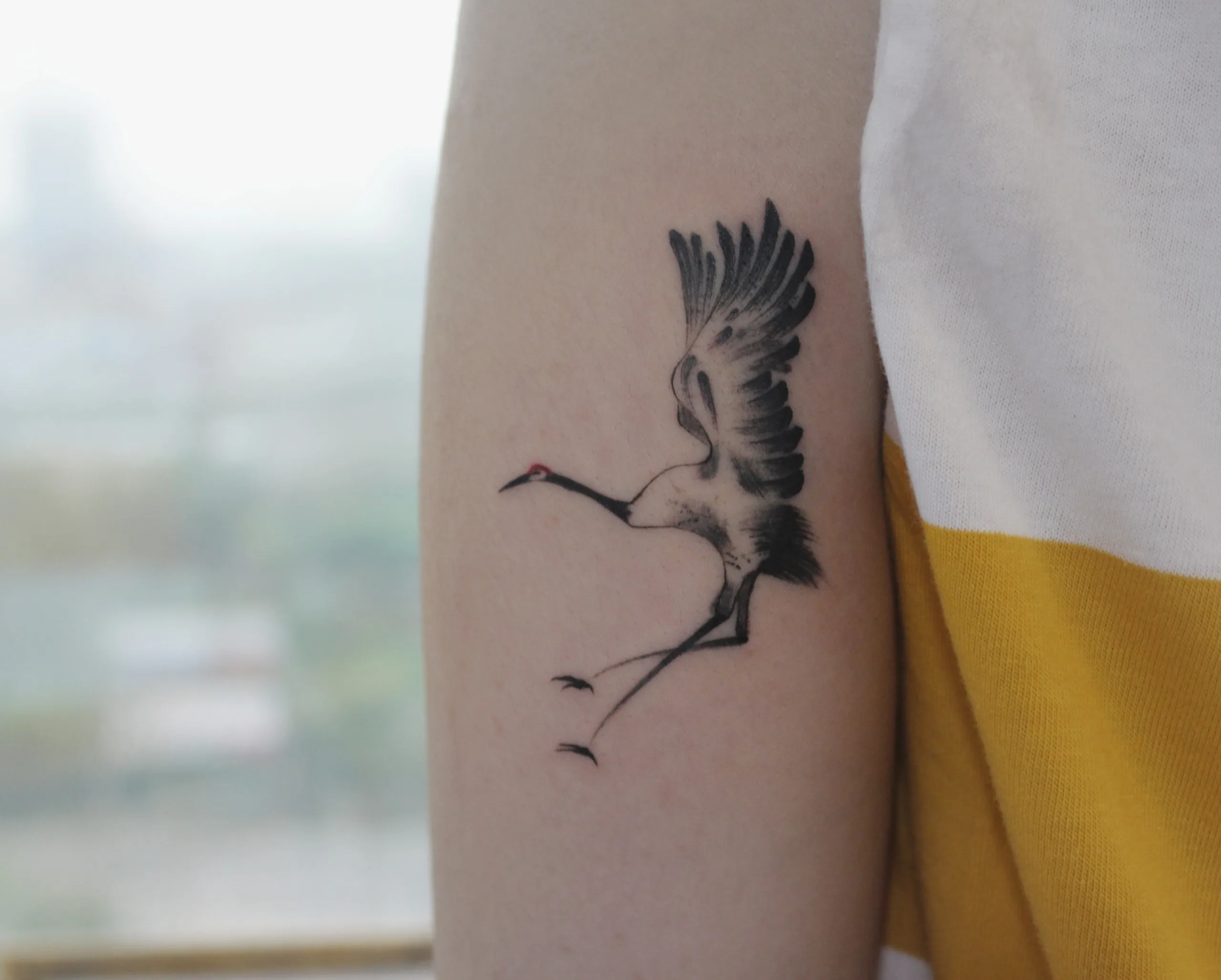 Crane