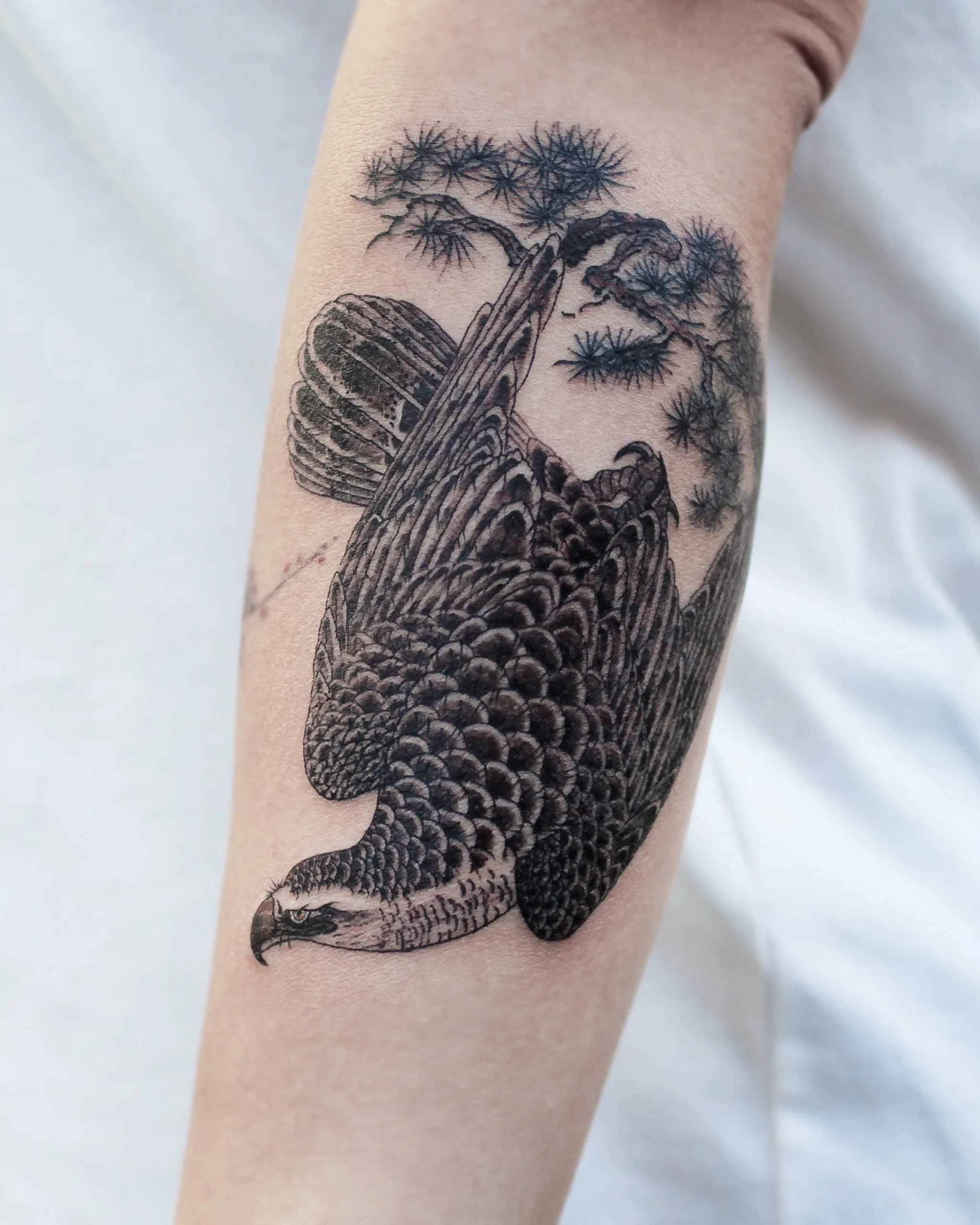 Eagle & Pine — on the skin