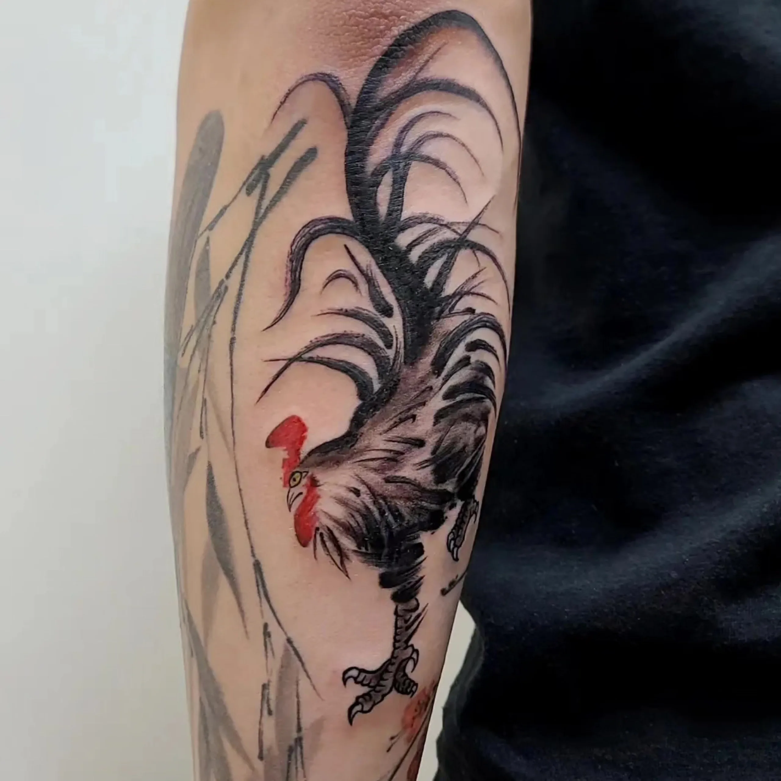 Rooster