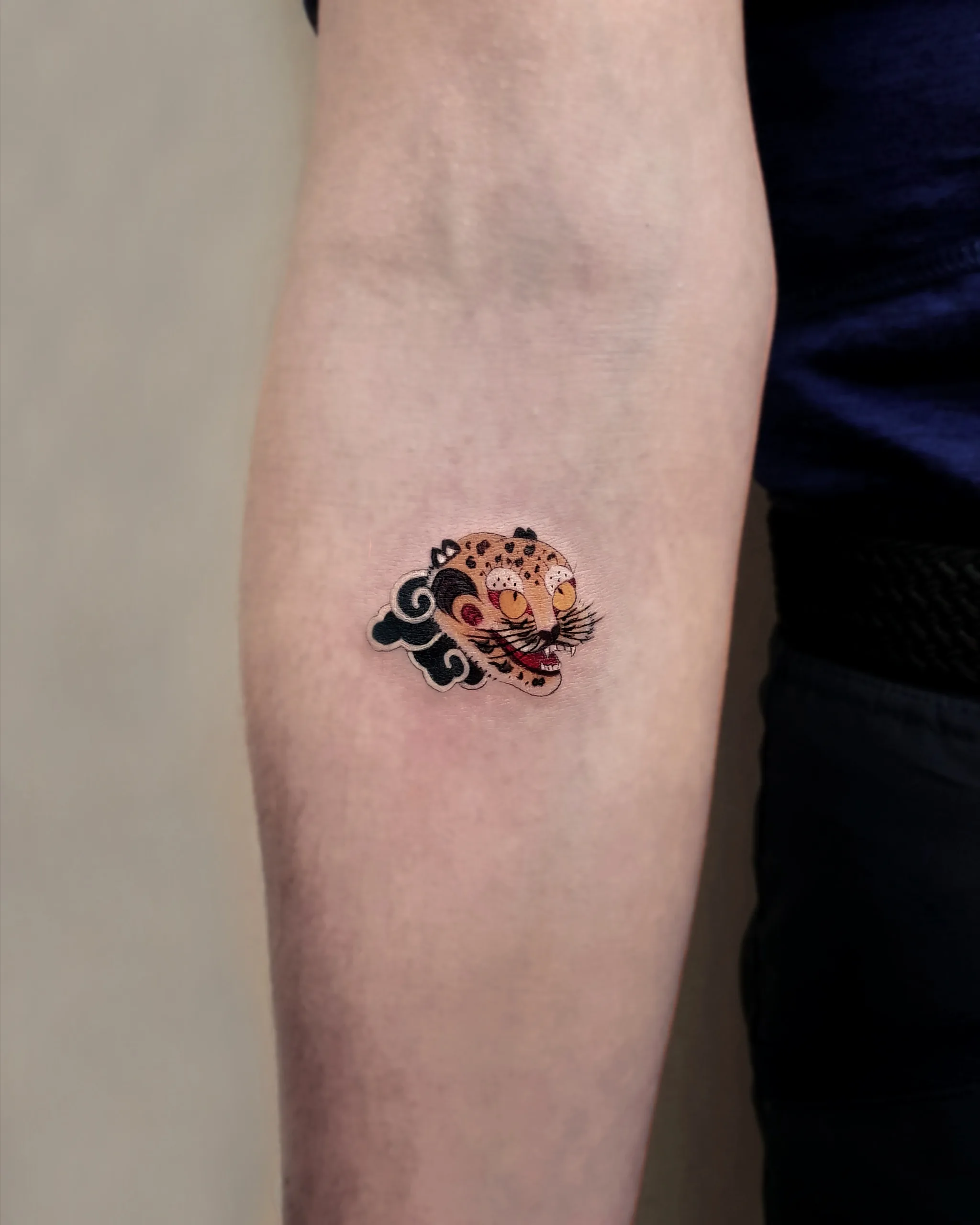 Minhwa Tiger — on the skin