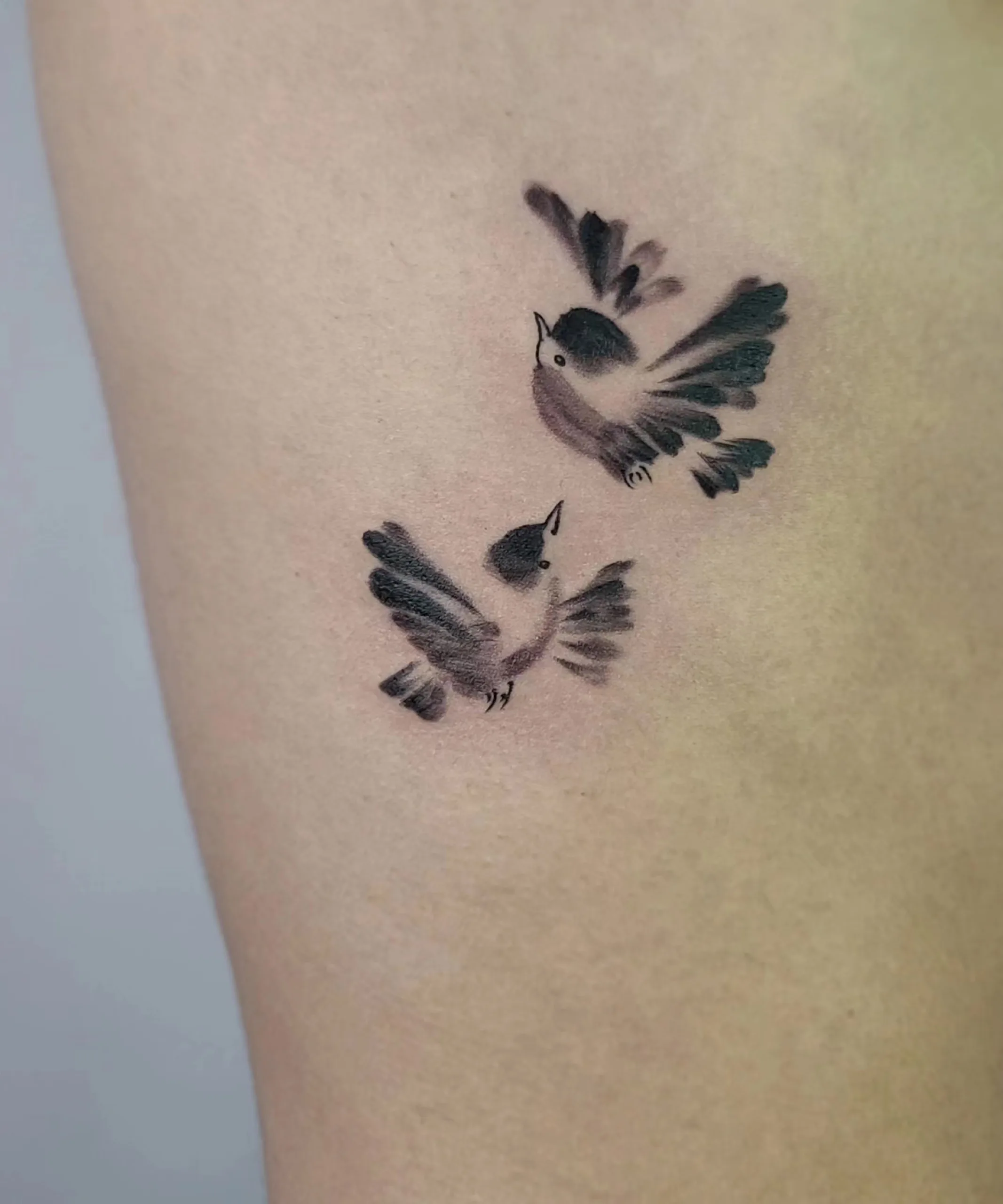 Two Sparrows