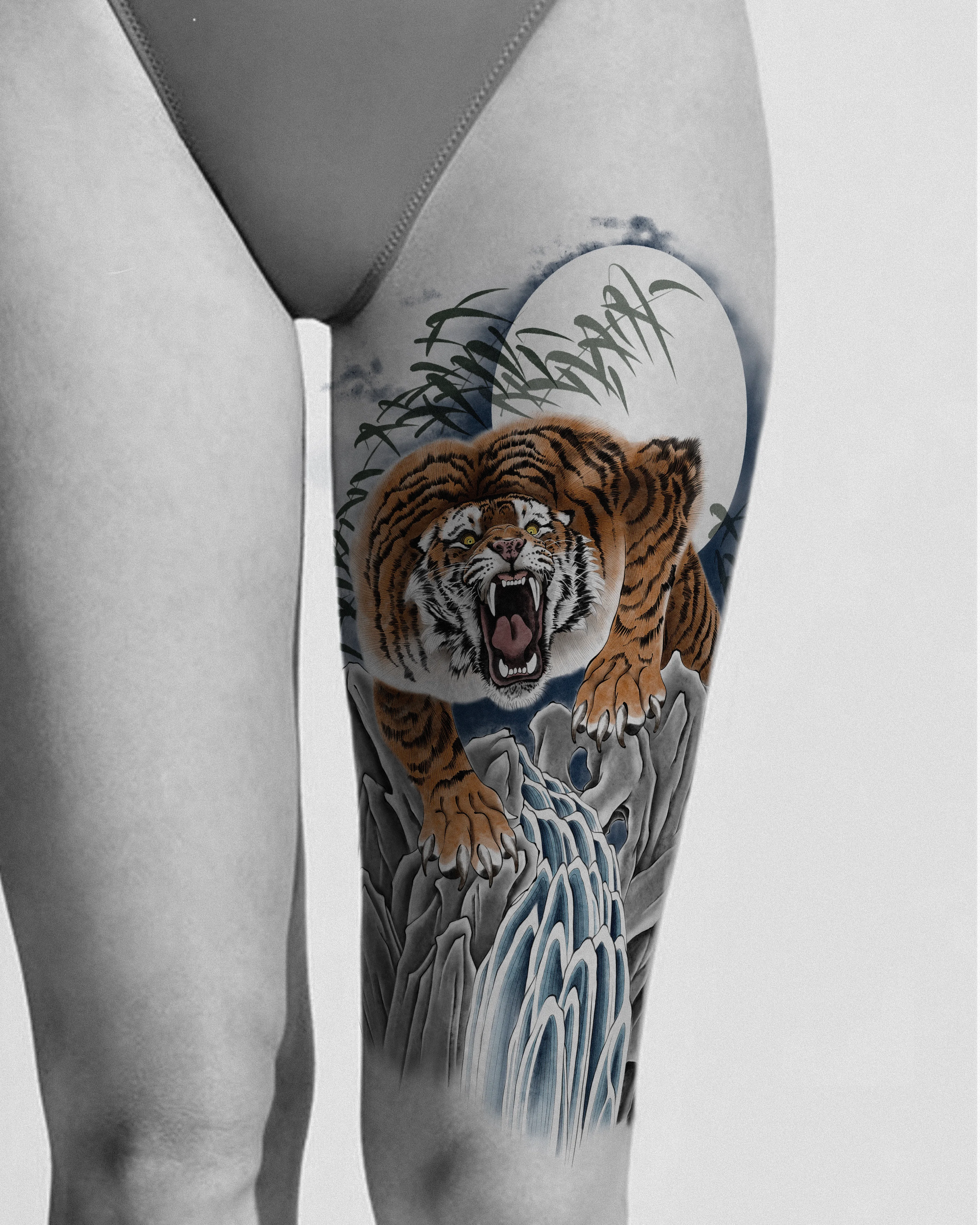 Tiger — On the skin · tiger, rock