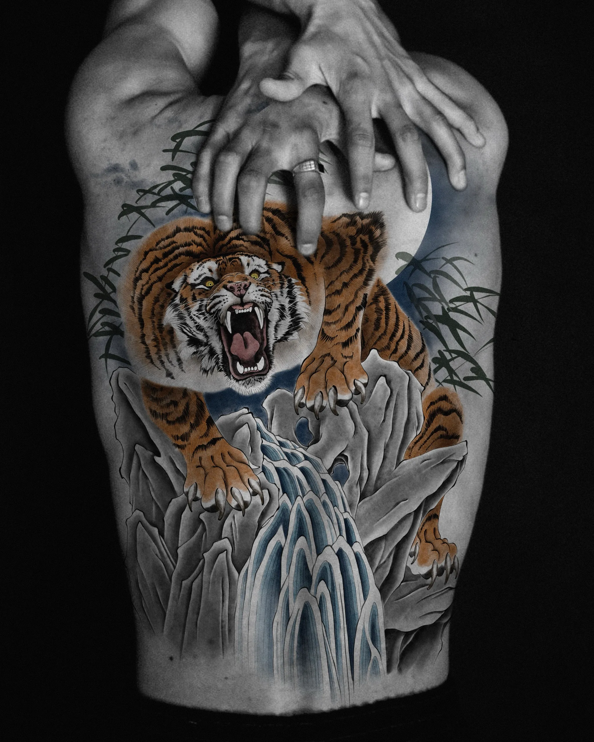 Tiger — Tiger tattoo on skin